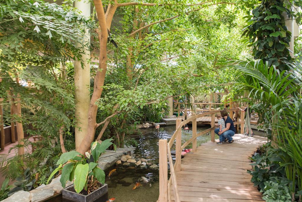 Center Parcs Port Zelande Beach Ouddorp Kültér fotó