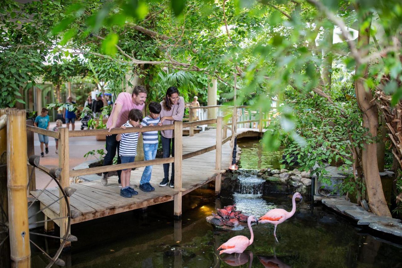 Center Parcs Port Zelande Beach Ouddorp Kültér fotó
